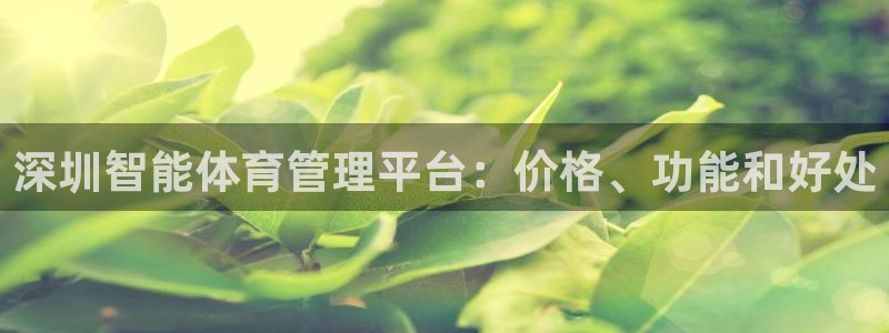 必一体育app官方下