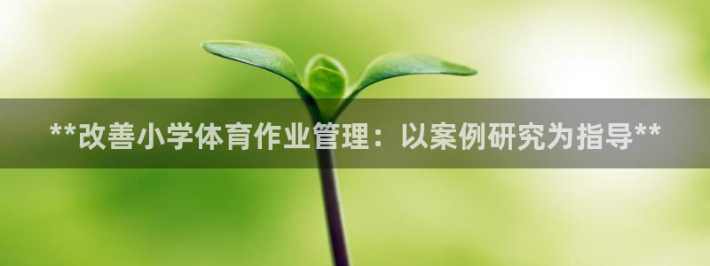 必一运动·体育：**