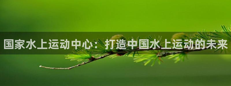 b体育必一运动网页版