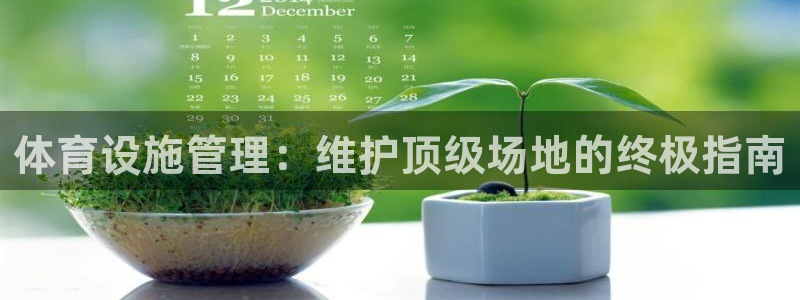 必一体育电子app：