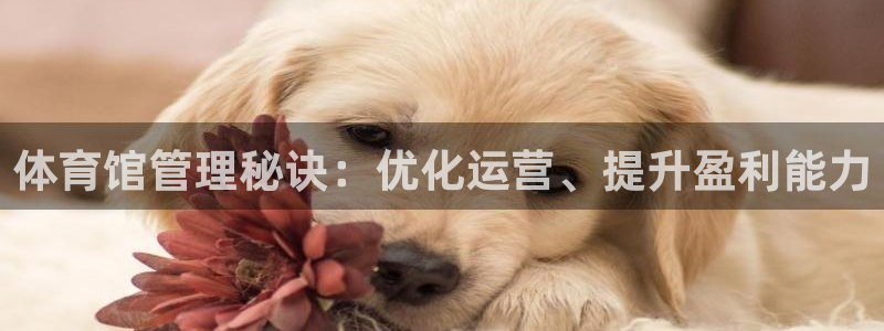 必一体育app官方网