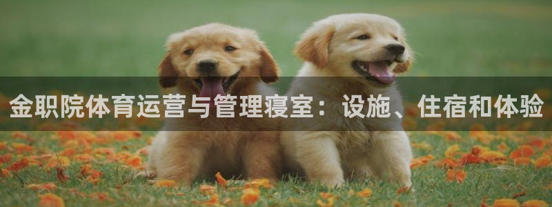 必一体育在线入口：金