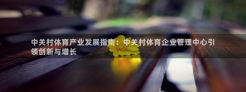 必一体育下载：中关村