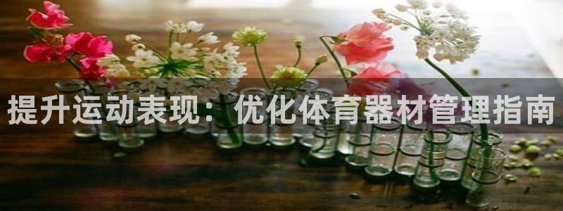 必一体育网页：提升运