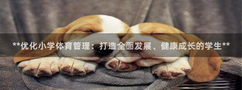 必一体育bsport