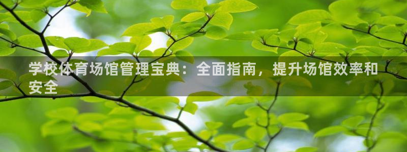 必一体育app下载装