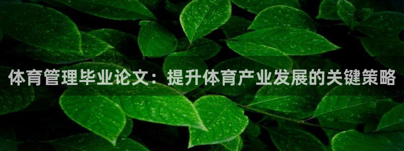 必一体育下载移动版：