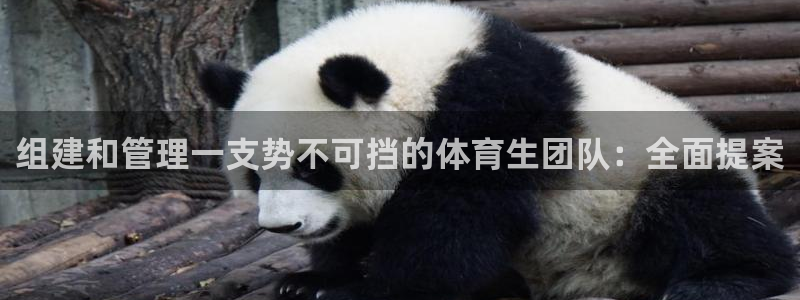 必一运动验证码：组建