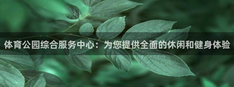 必一体育官方网站入口