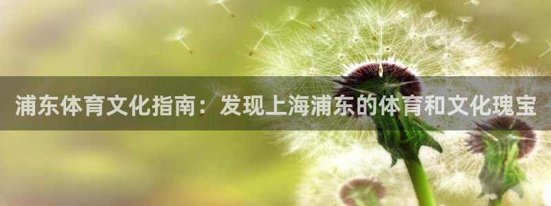 必一体育app下载最