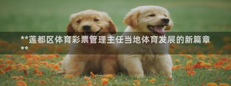 必一运动官网登录入口