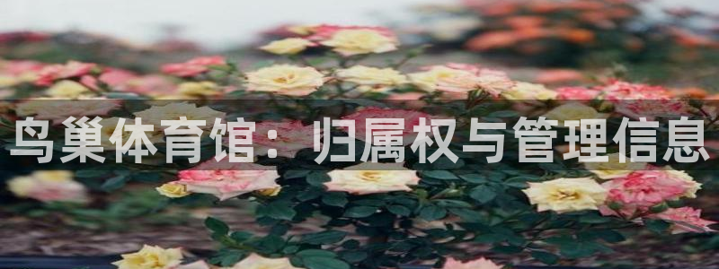 必一运动sport爱