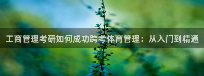 必一体育下载app：