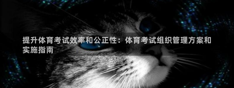 必一体育最新官网入口
