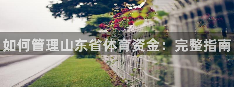 必一运动·体育：如何