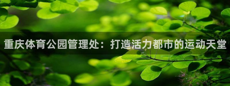 必一体育网址：重庆体