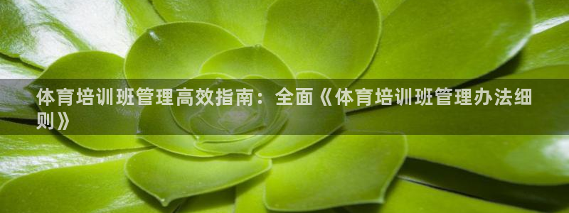必一体育在线入口：体