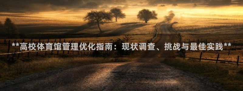 必一体育验证码：**