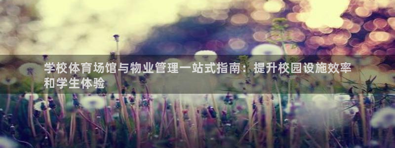 必一体育官网网站：学