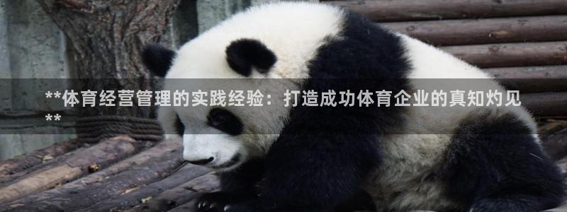 必一运动·(B-Sp