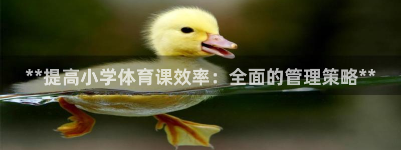 必一体育app下载装