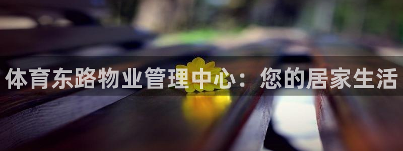 必一体育官网网站：体