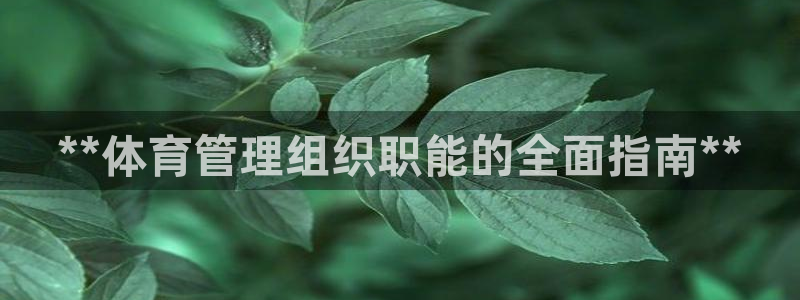 必一体育是哪里的台子