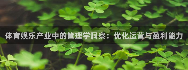 必一体育app官方下
