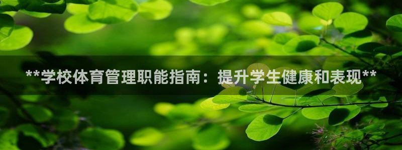 必一运动sport爱