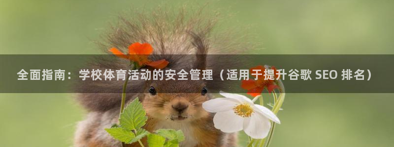 必一体育app下载装