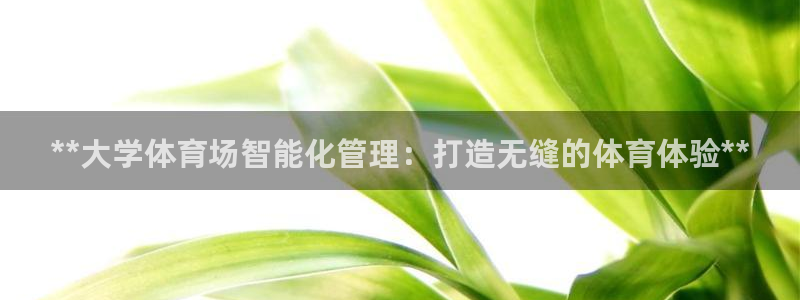 必一体育在线登陆：*