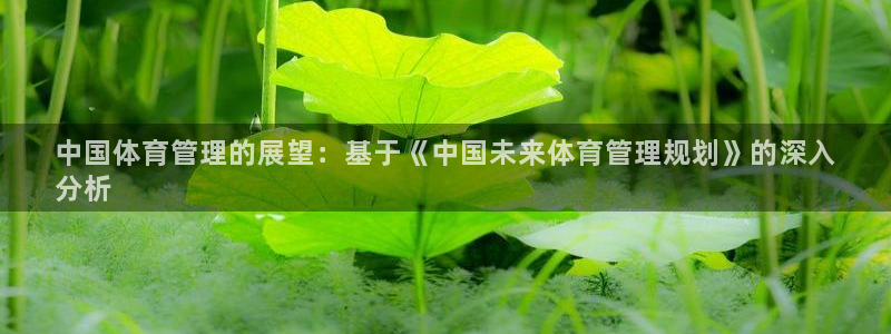 必一体育游戏特色：中