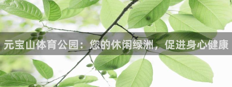 必一体育在线登录：元