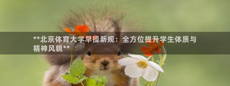 必一运动·(B-Sp