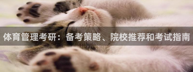 必一体育是哪里的台子