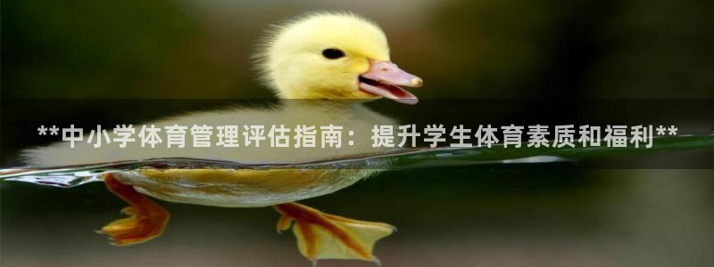 b体育官网下载入口a