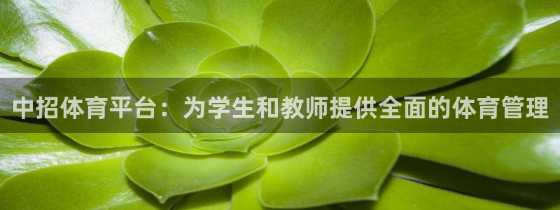 必一体育官网ios下