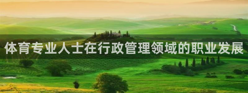 必一体育sportB