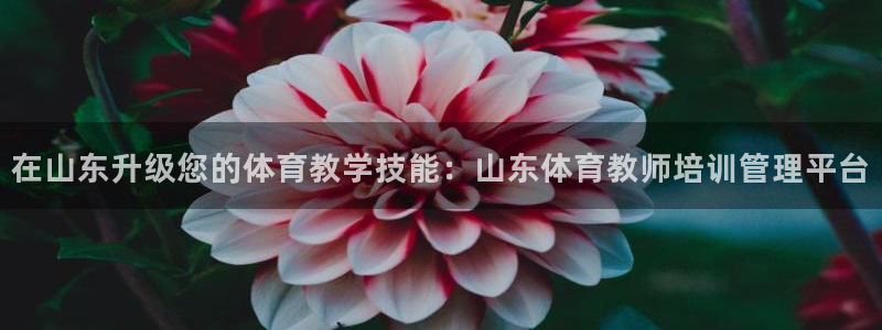 必十二和必一的副作用