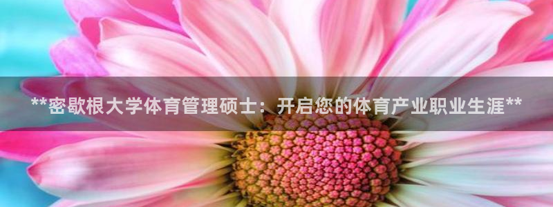 必一运动：**密歇根