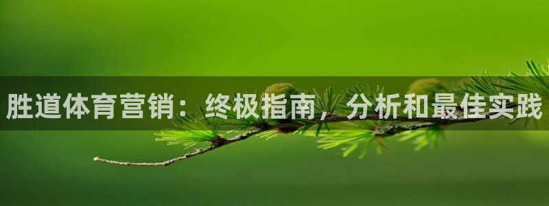 必一体育sport官