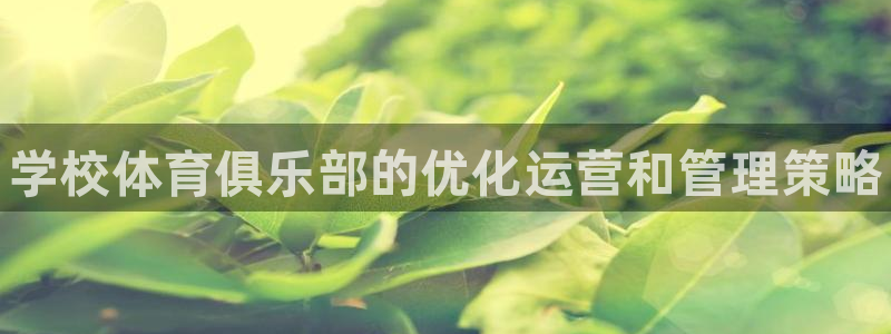 必一体育可靠吗：学校体育俱乐部的优化运营和管理策略