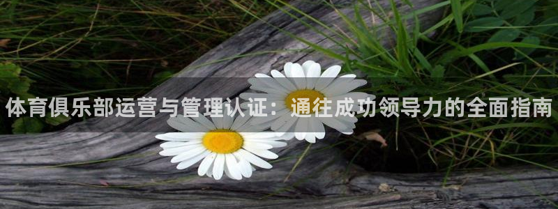 必一运动sport网