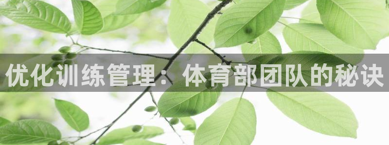 必一体育黑平台：优化训练管理：体育部团队的秘诀
