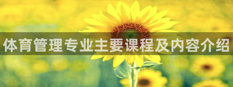 必一体育登录：体育管
