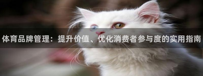 必一体育登录入口AP