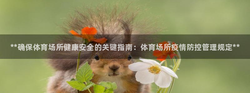 必一运动体育官网下载