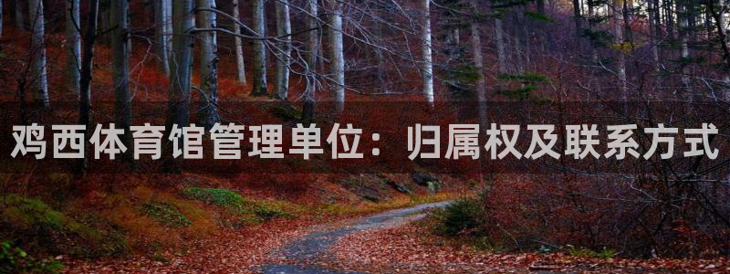 必一体育秀给网：鸡西体育馆管理单位：归属权及联系方式