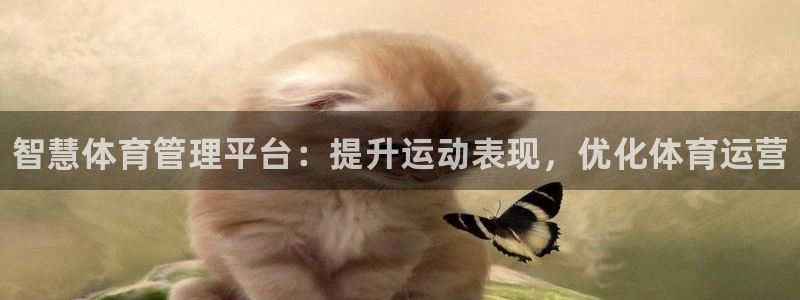 必一体育APP：智慧