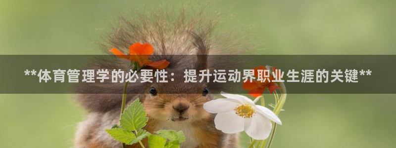 必一体育登陆：**体